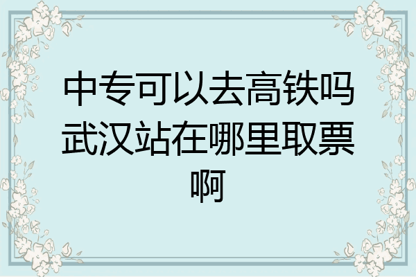 中专可以去高铁吗武汉站在哪里取票啊