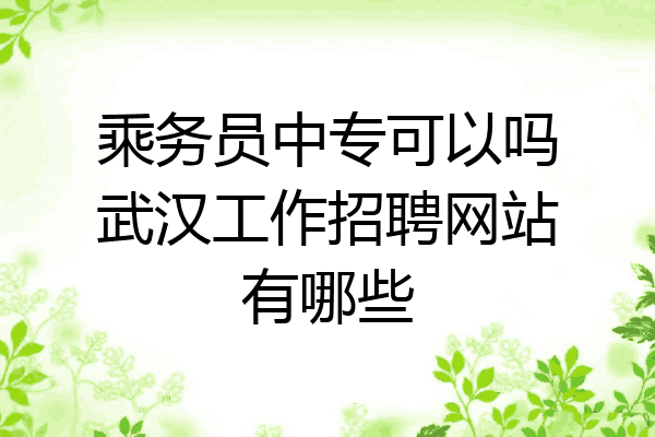 乘务员中专可以吗武汉工作招聘网站有哪些
