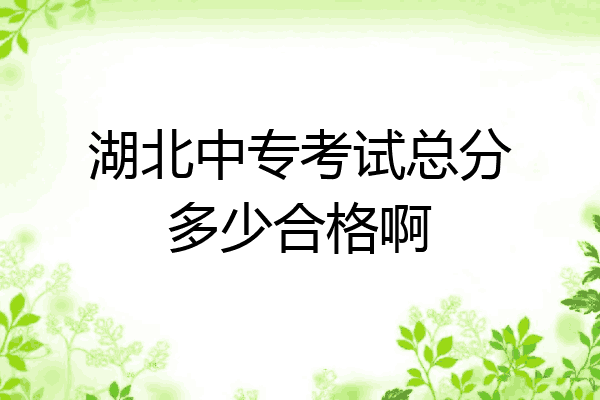 湖北中专考试总分多少合格啊