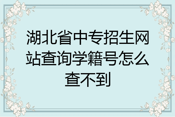 湖北省中专招生网站查询学籍号怎么查不到