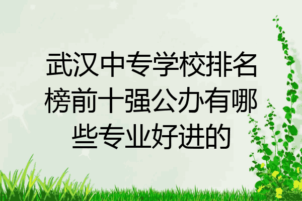 武汉中专学校排名榜前十强公办有哪些专业好进的