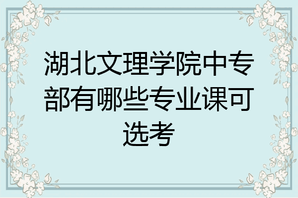湖北文理学院中专部有哪些专业课可选考