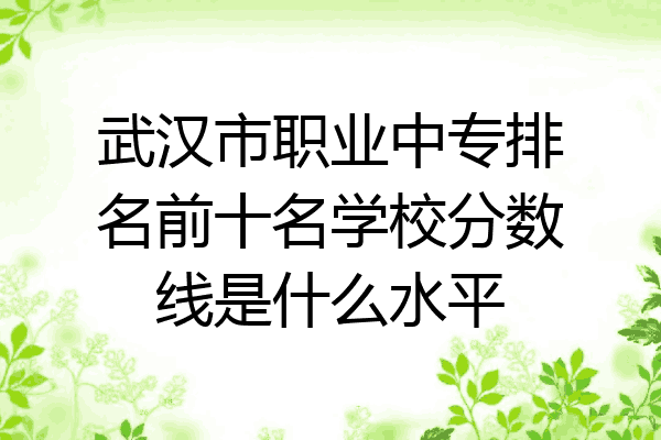 武汉市职业中专排名前十名学校分数线是什么水平