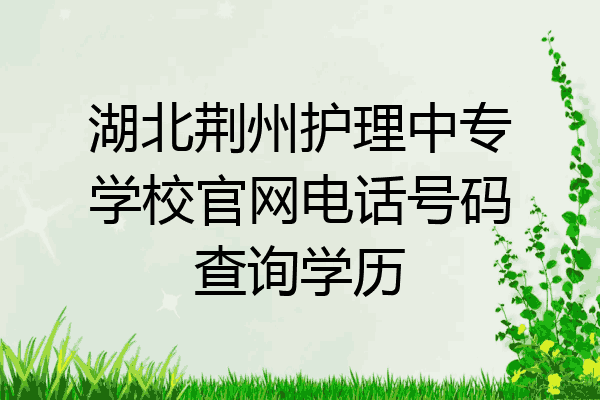 湖北荆州护理中专学校官网电话号码查询学历