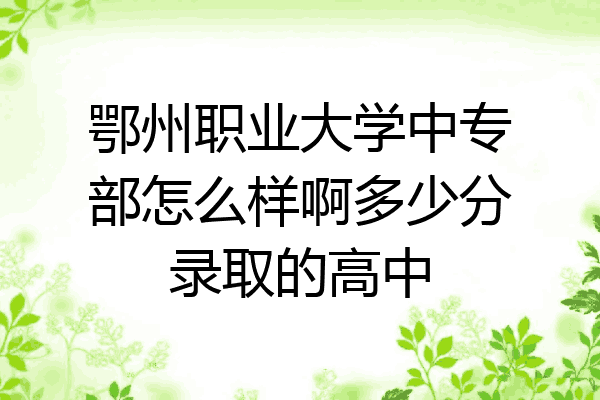 鄂州职业大学中专部怎么样啊多少分录取的高中
