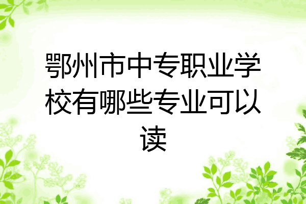 鄂州市中专职业学校有哪些专业可以读