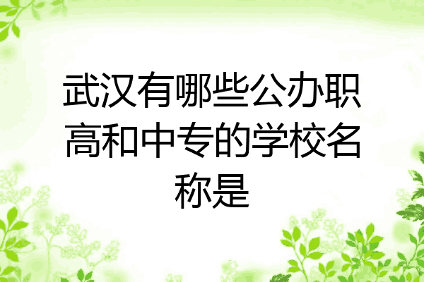武汉有哪些公办职高和中专的学校名称是