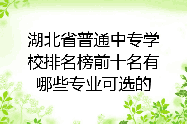 湖北省普通中专学校排名榜前十名有哪些专业可选的