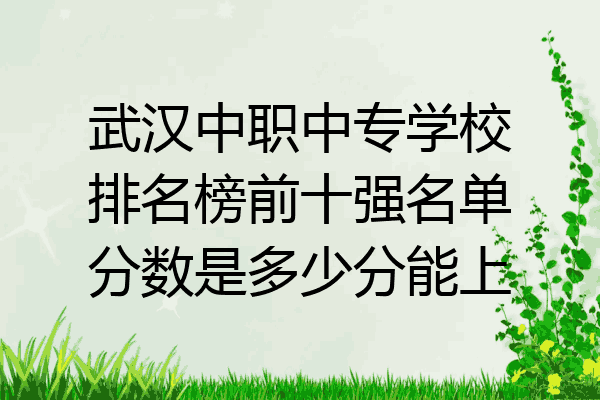 武汉中职中专学校排名榜前十强名单分数是多少分能上