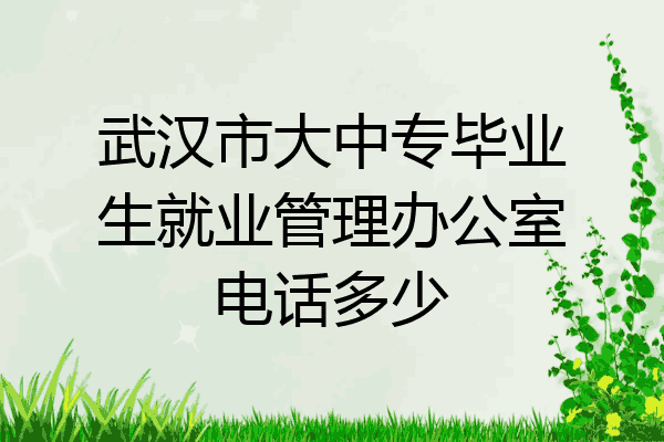 武汉市大中专毕业生就业管理办公室电话多少