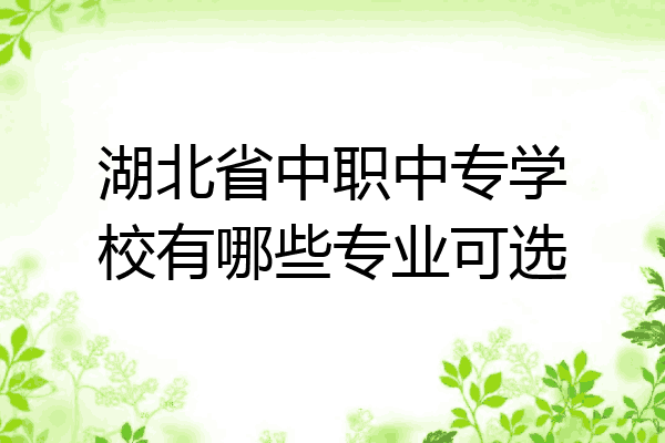 湖北省中职中专学校有哪些专业可选