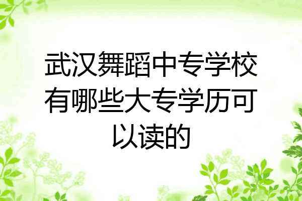 武汉舞蹈中专学校有哪些大专学历可以读的