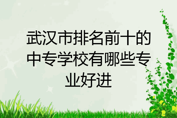 武汉市排名前十的中专学校有哪些专业好进