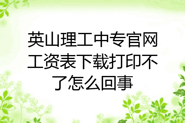 英山理工中专官网工资表下载打印不了怎么回事
