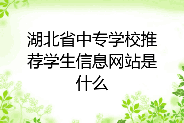 湖北省中专学校推荐学生信息网站是什么