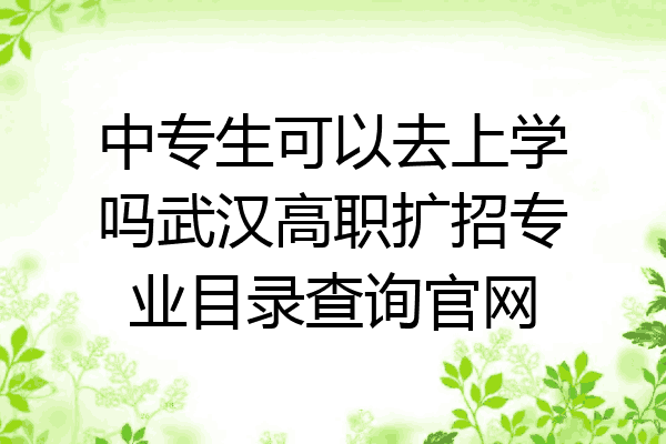 中专生可以去上学吗武汉高职扩招专业目录查询官网