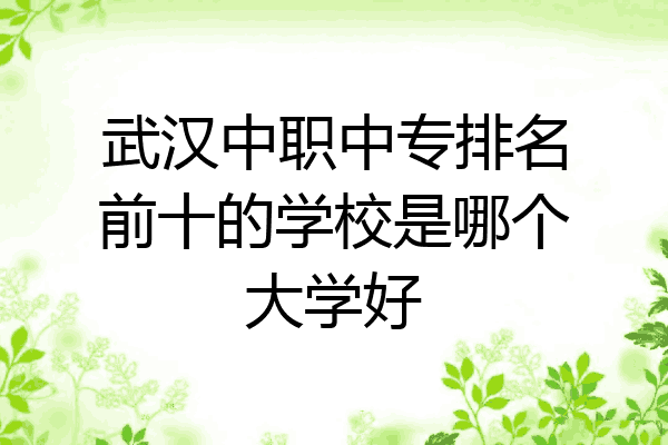 武汉中职中专排名前十的学校是哪个大学好