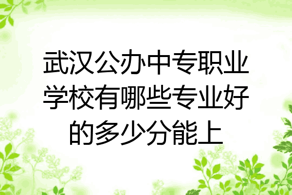 武汉公办中专职业学校有哪些专业好的多少分能上