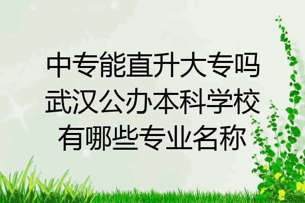 中专能直升大专吗武汉公办本科学校有哪些专业名称