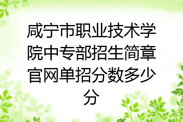 咸宁市职业技术学院中专部招生简章官网单招分数多少分
