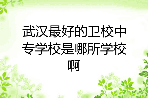 武汉最好的卫校中专学校是哪所学校啊