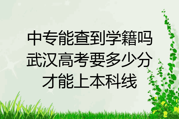 中专能查到学籍吗武汉高考要多少分才能上本科线