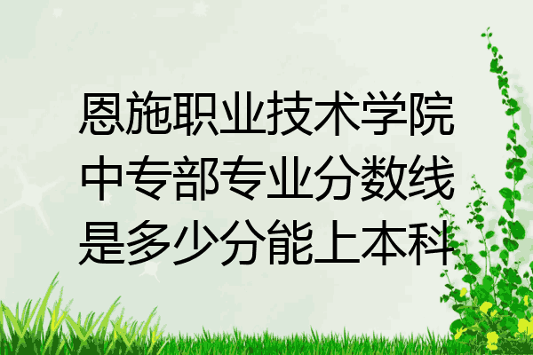 恩施职业技术学院中专部专业分数线是多少分能上本科