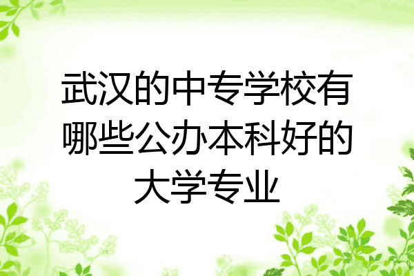 武汉的中专学校有哪些公办本科好的大学专业