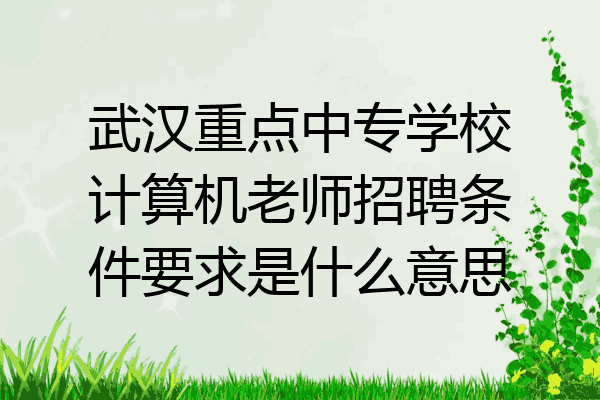 武汉重点中专学校计算机老师招聘条件要求是什么意思