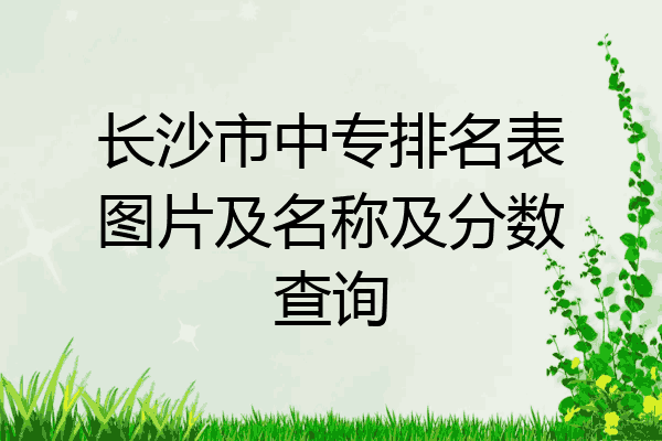 长沙市中专排名表图片及名称及分数查询