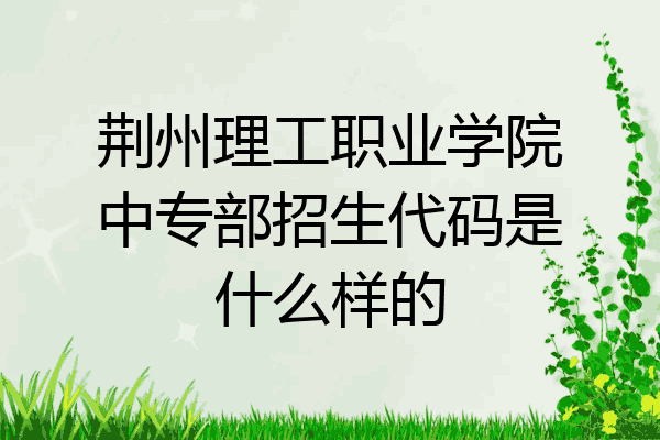 荆州理工职业学院中专部招生代码是什么样的