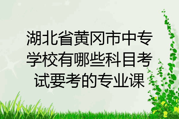 湖北省黄冈市中专学校有哪些科目考试要考的专业课