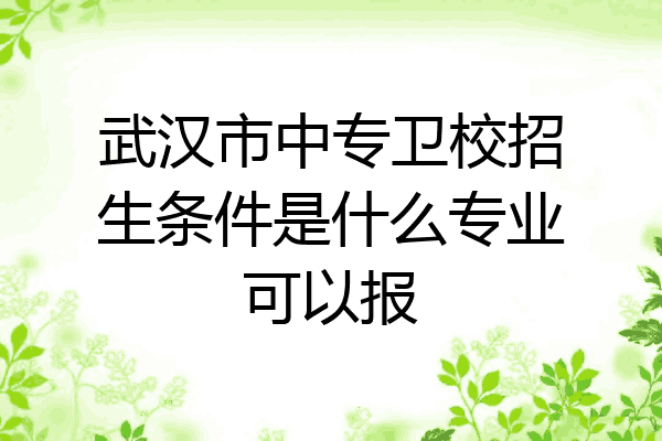 武汉市中专卫校招生条件是什么专业可以报