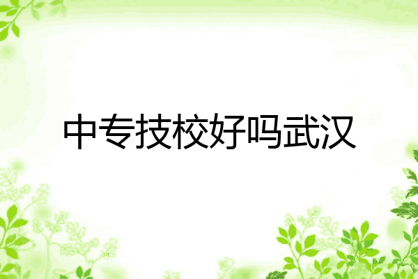 中专技校好吗武汉