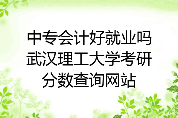中专会计好就业吗武汉理工大学考研分数查询网站