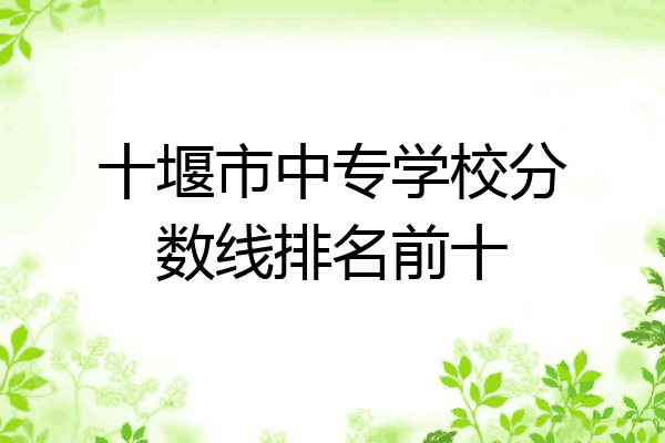 十堰市中专学校分数线排名前十
