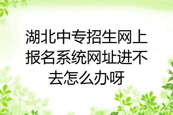 湖北中专招生网上报名系统网址进不去怎么办呀