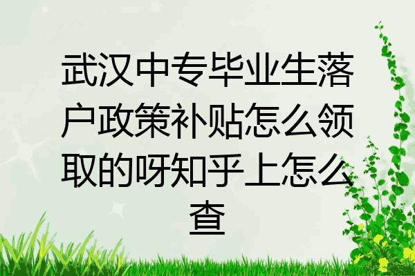 武汉中专毕业生落户政策补贴怎么领取的呀知乎上怎么查