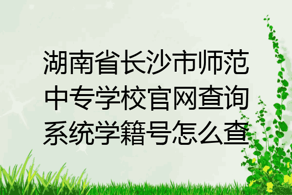 湖南省长沙市师范中专学校官网查询系统学籍号怎么查