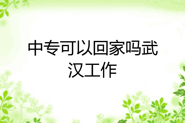中专可以回家吗武汉工作