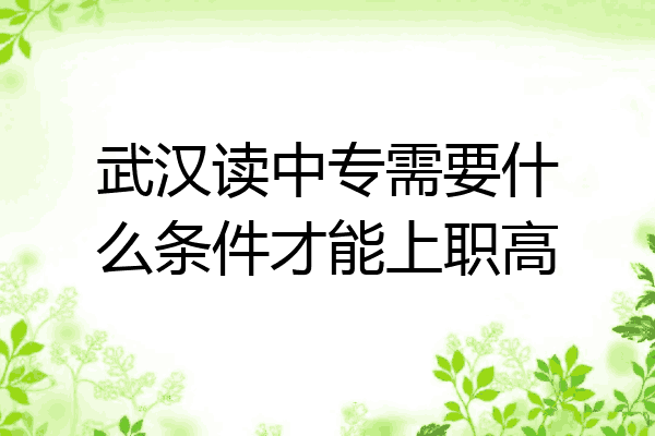 武汉读中专需要什么条件才能上职高