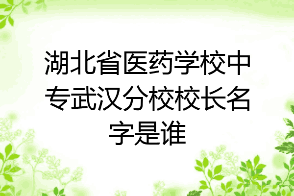 湖北省医药学校中专武汉分校校长名字是谁