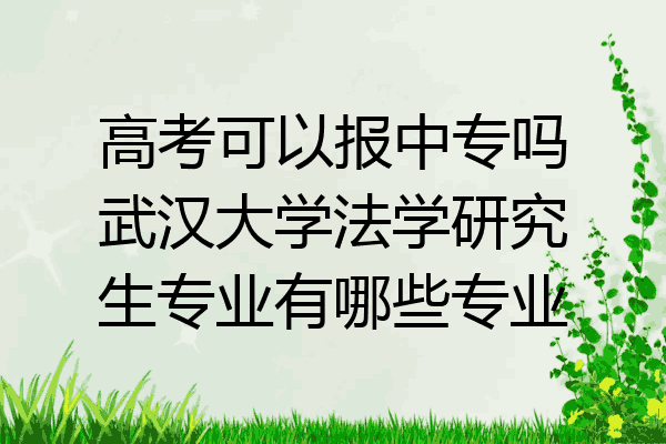 高考可以报中专吗武汉大学法学研究生专业有哪些专业