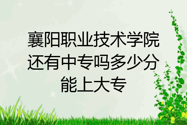 襄阳职业技术学院还有中专吗多少分能上大专