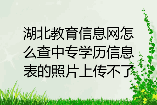 湖北教育信息网怎么查中专学历信息表的照片上传不了