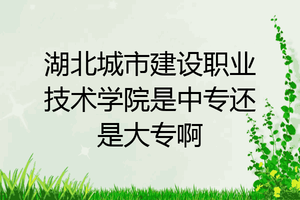 湖北城市建设职业技术学院是中专还是大专啊