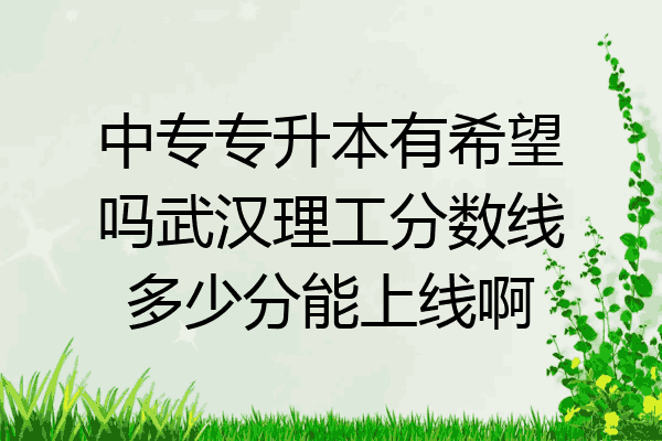 中专专升本有希望吗武汉理工分数线多少分能上线啊