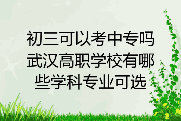 初三可以考中专吗武汉高职学校有哪些学科专业可选