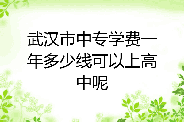 武汉市中专学费一年多少线可以上高中呢