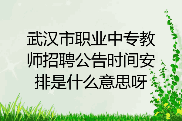 武汉市职业中专教师招聘公告时间安排是什么意思呀